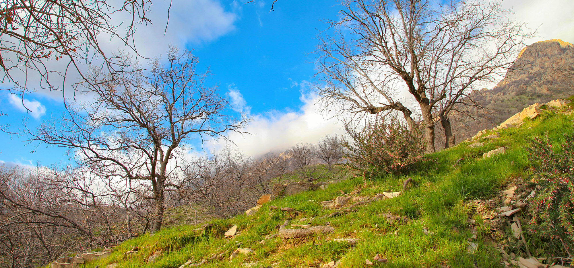 قطعه زمین با منظره طبیعت در مغانک