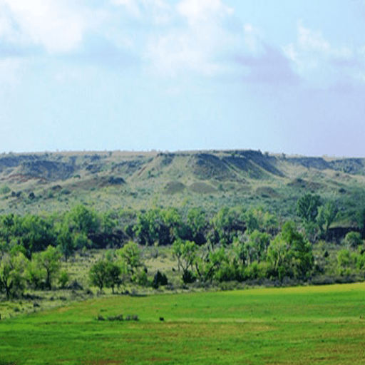 زمین کشاورزی در مغانک
